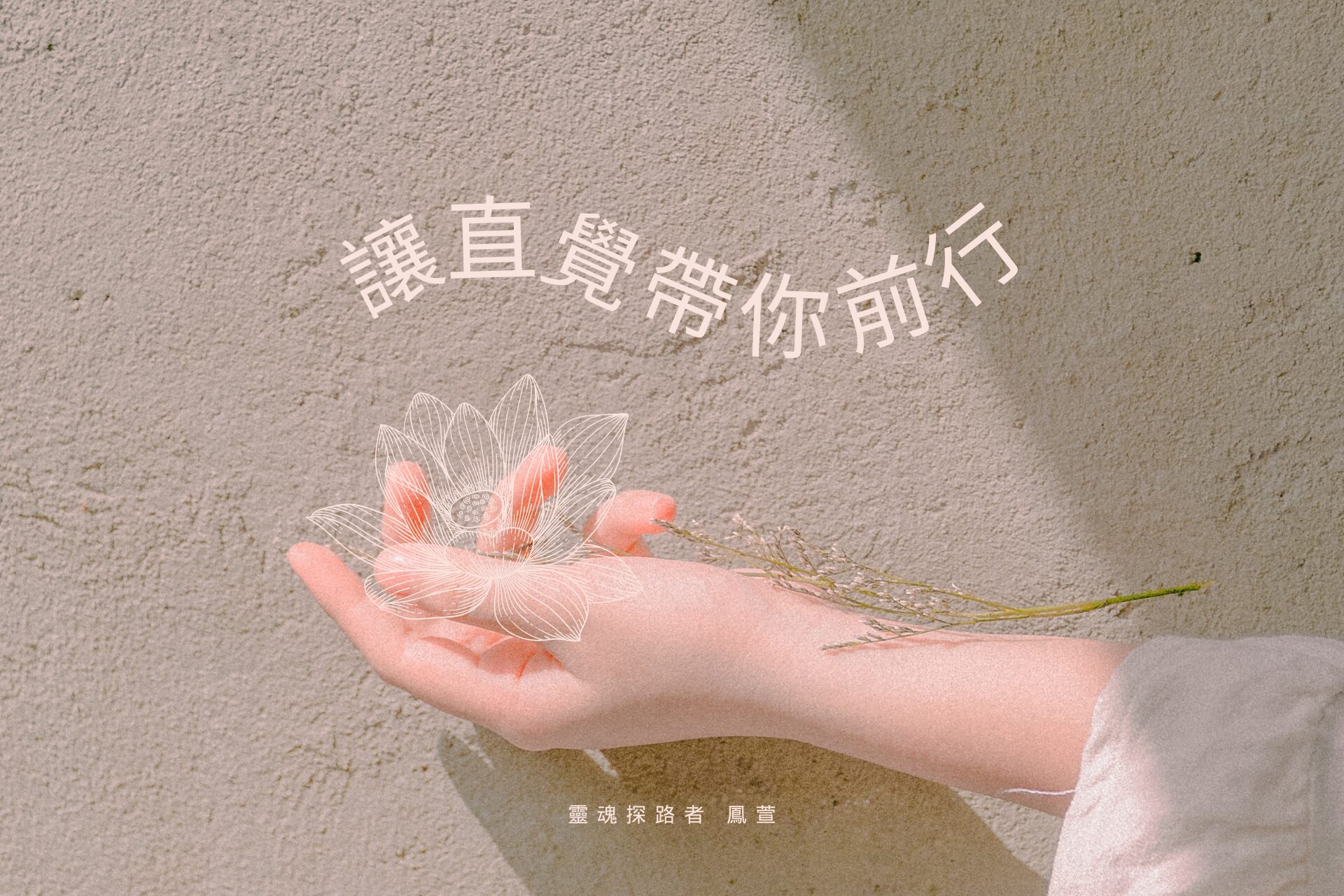 讓直覺帶你前行